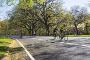 Cyclists riding along Prospect Park Drive in Brooklyn