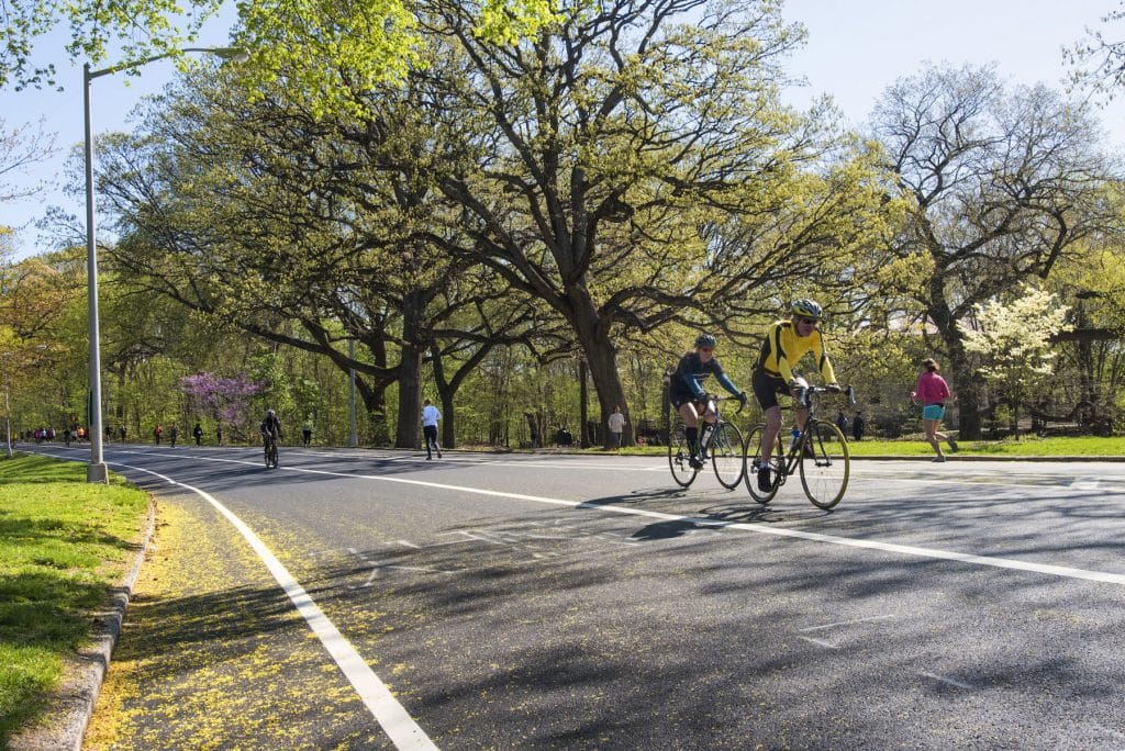 Cyclists riding along Prospect Park Drive in Brooklyn